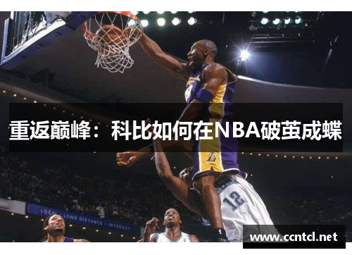 重返巅峰：科比如何在NBA破茧成蝶