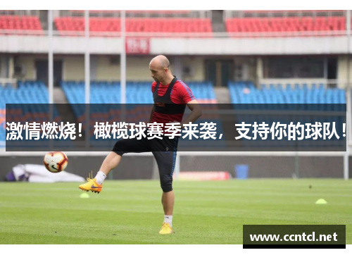 激情燃烧！橄榄球赛季来袭，支持你的球队！